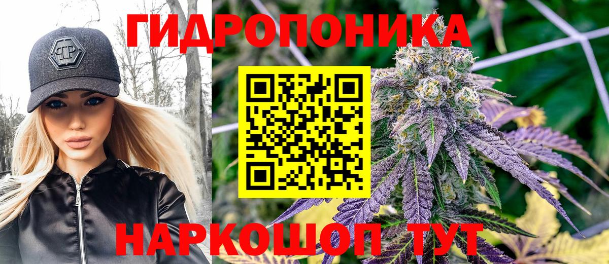 Бошки марихуана Ganja  Вход с VPN  Черногорск  Шишки марихуана MAZAR  МАРИХУАНА планчик 